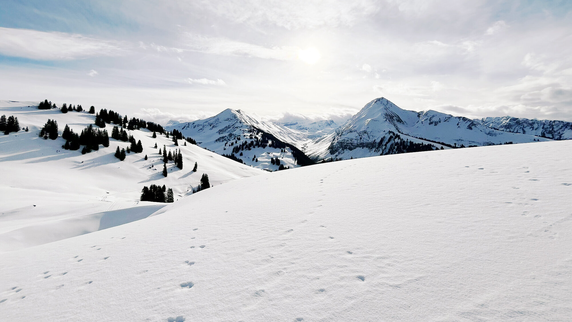Swiss Alps Swiss Alps