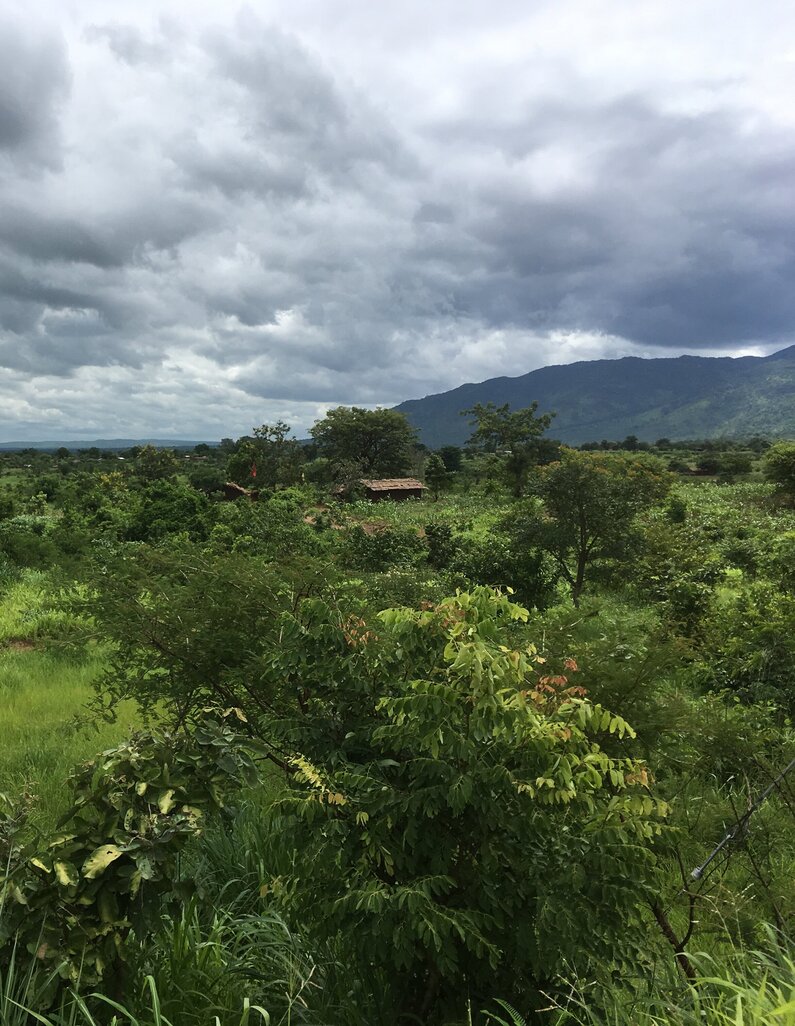 MALAWI Malawi, Regenwald, Berge, Blantyre